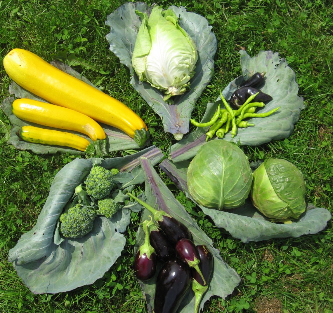 Vrednota hrane kot model trajnostnega razvoja