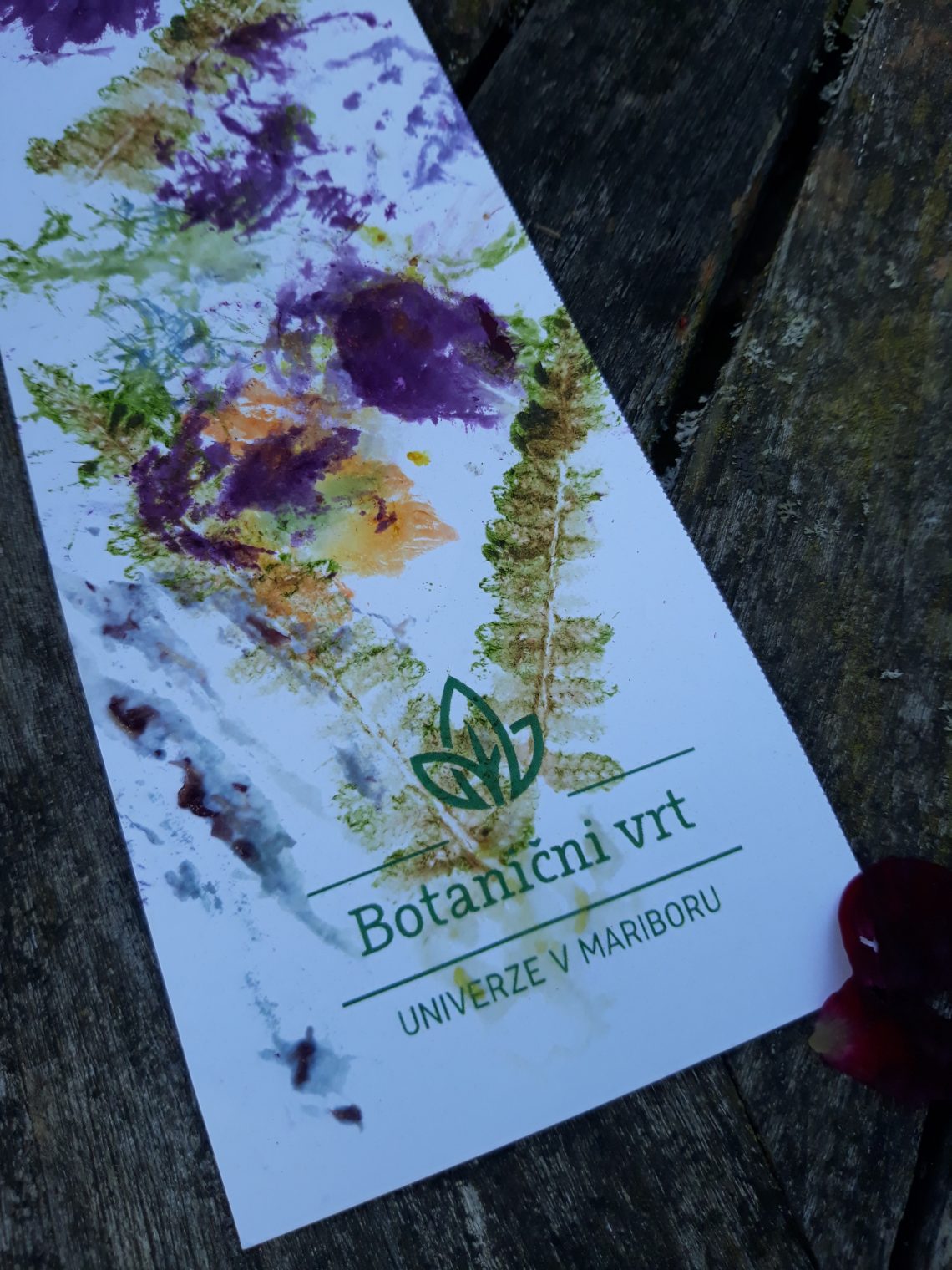 Poletna muzejska noč