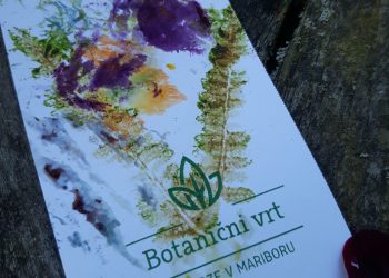 Poletna muzejska noč