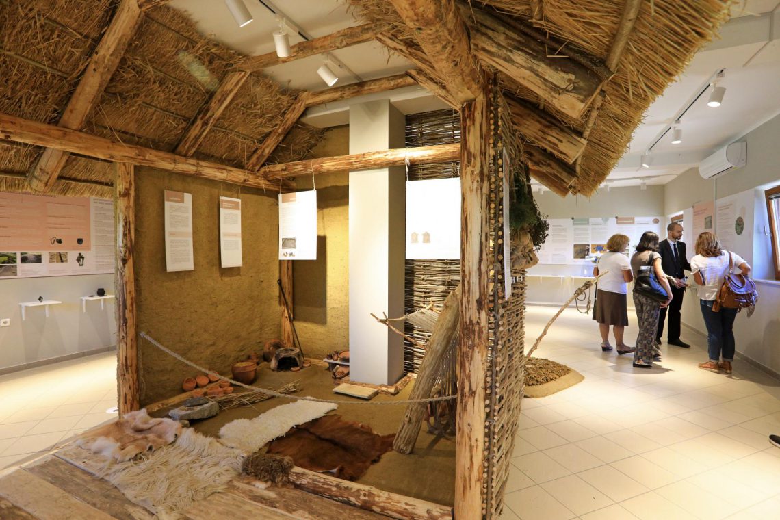 Botanični vrt: Gomilna grobišča nič več v zapuščenem gozdu, nova tudi stalna razstava