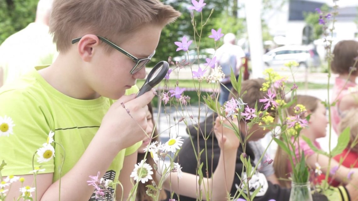 Dan očarljivih rastlin