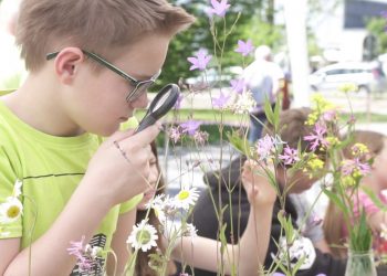 Dan očarljivih rastlin