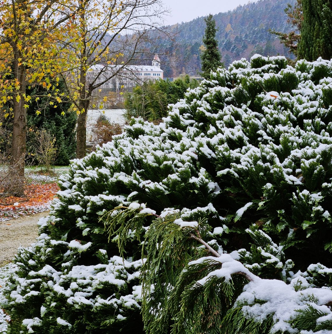 Praznični odpiralni čas