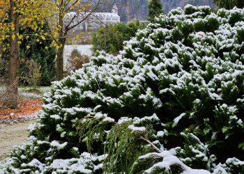 Praznični odpiralni čas