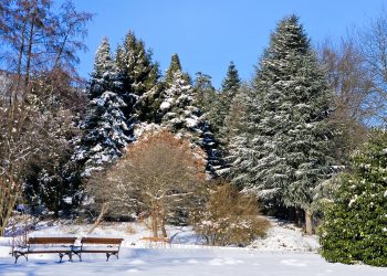 Obisk vrta v zimskem času