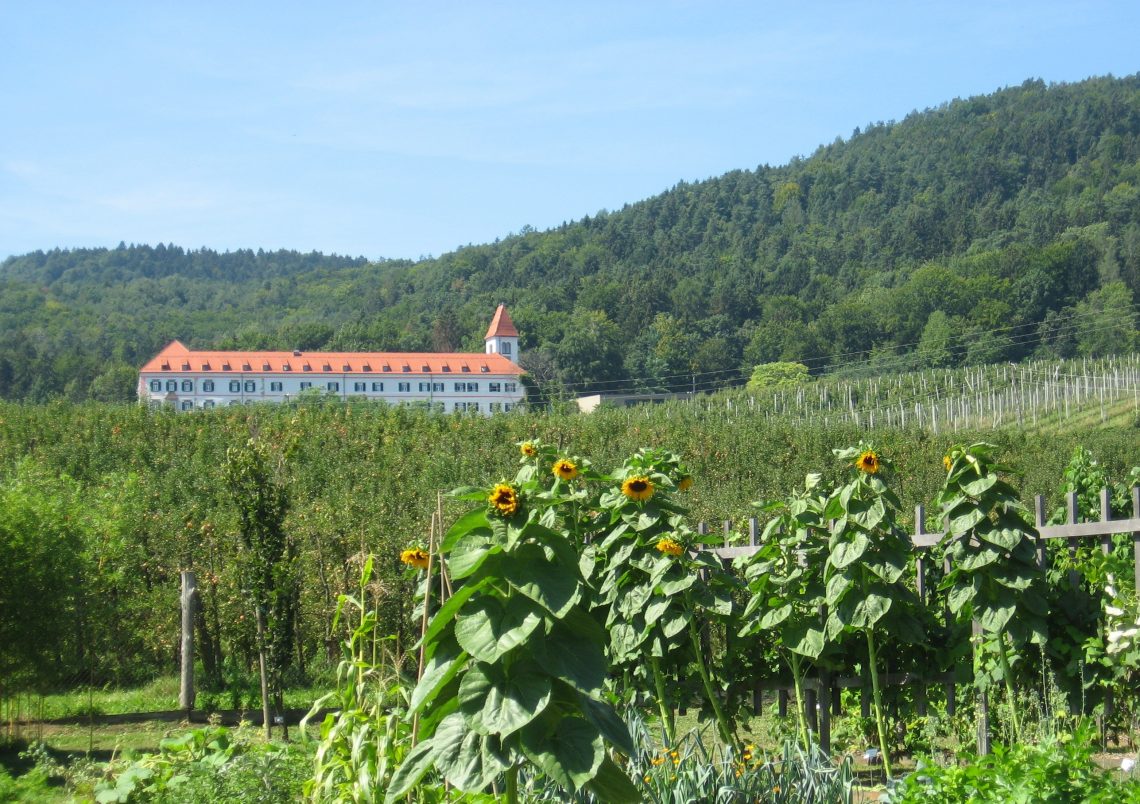 Od korenin do vitalnosti življenja